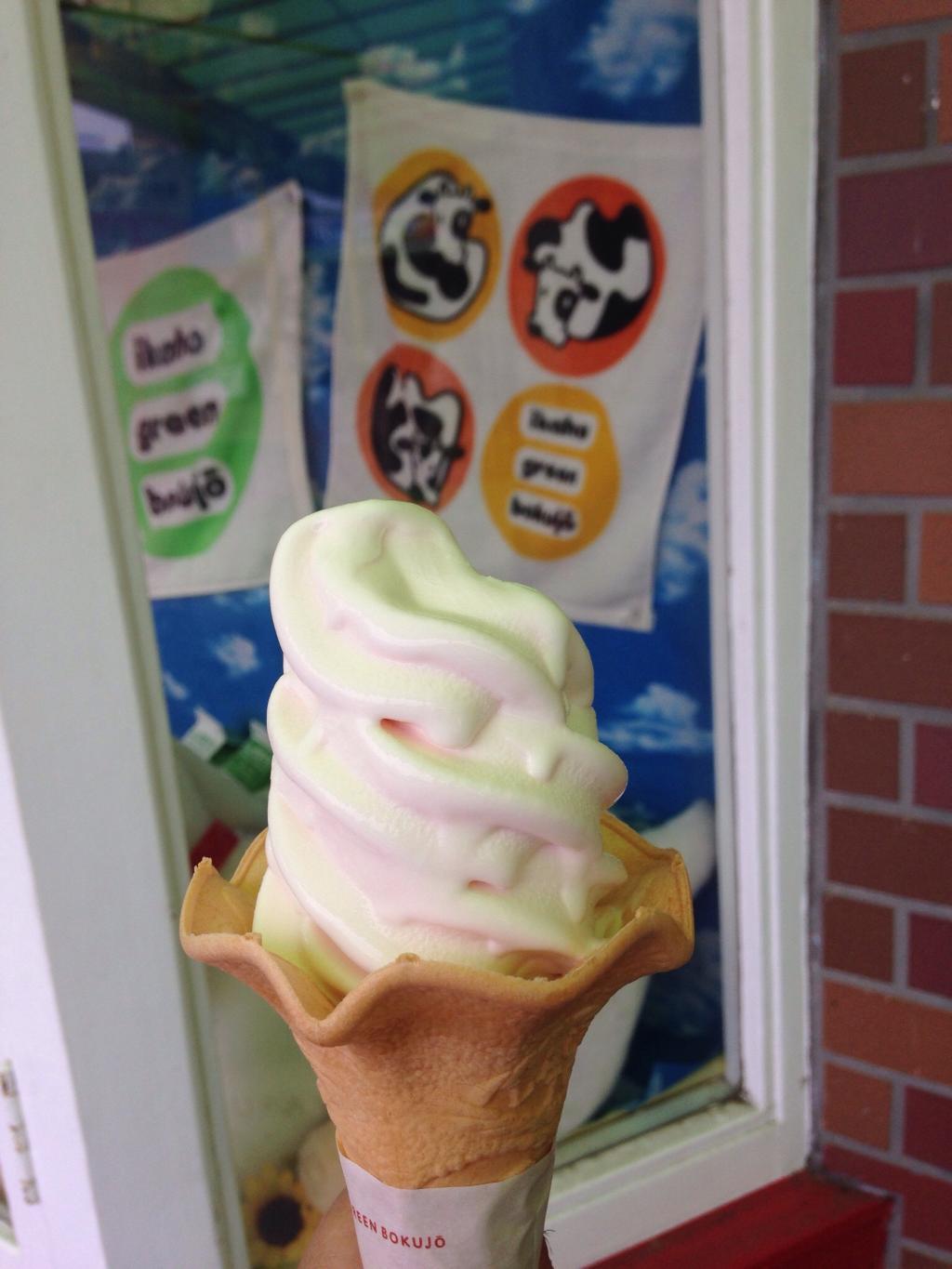 Ikaho Green Farm Ice Cream Shop